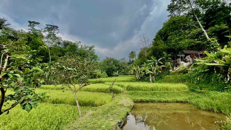 dijual tanah cibatu