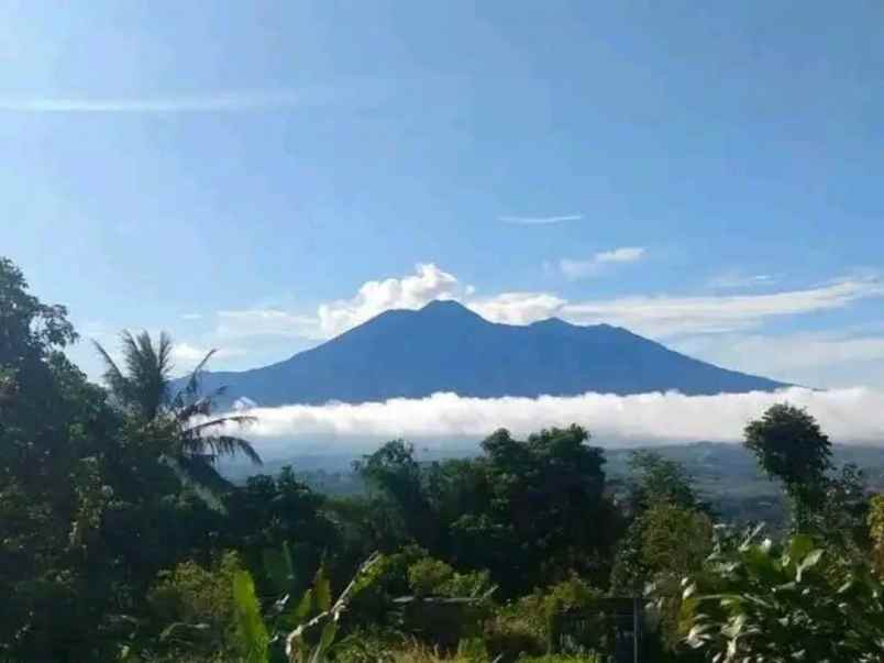 dijual tanah cigombong