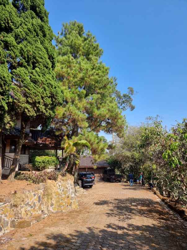 dijual tanah cocok untuk villa lok gunung puntang