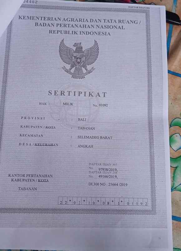 dijual tanah desa angkah selemadeg