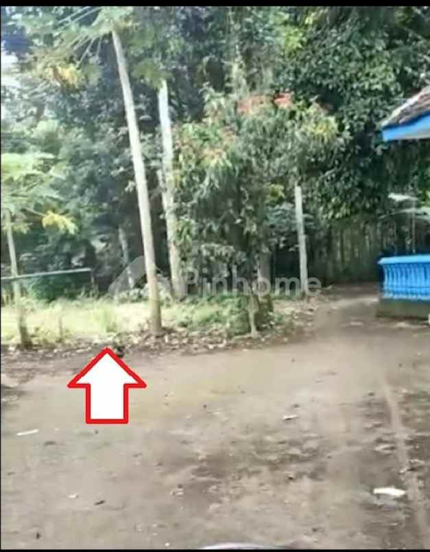 dijual tanah desa bulupitu