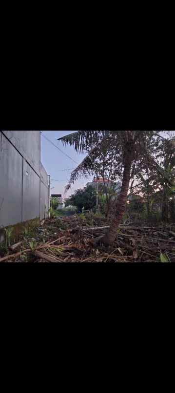 dijual tanah desa pandak gede kec