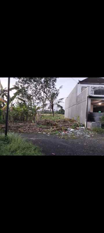 dijual tanah desa pandak gede kec