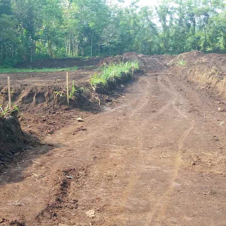 dijual tanah di kedungrejo