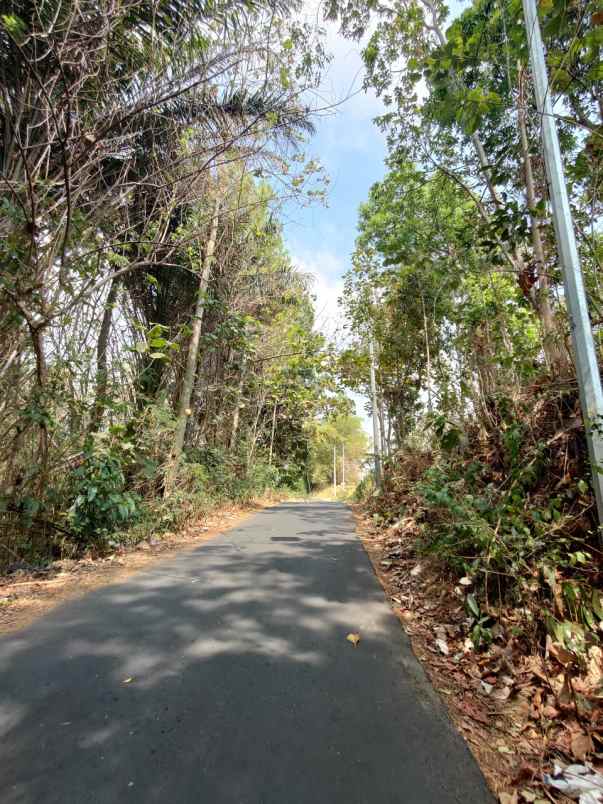 dijual tanah di torongrejo pinggir