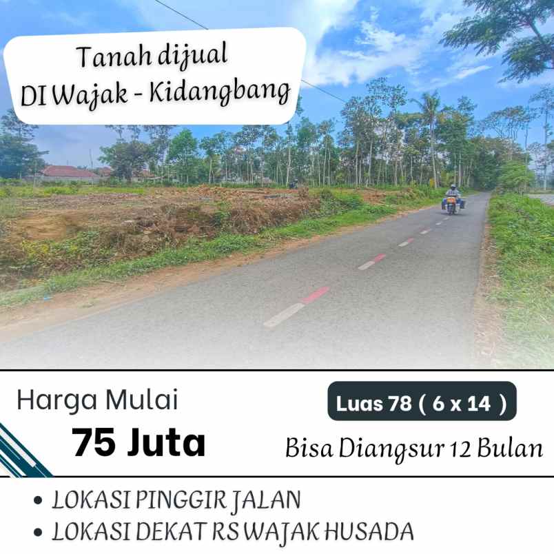 dijual tanah di wajak malang