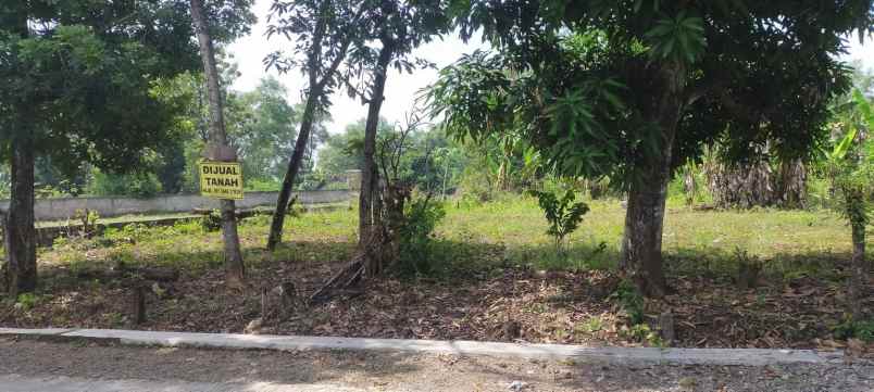 dijual tanah dijual tanah di pule