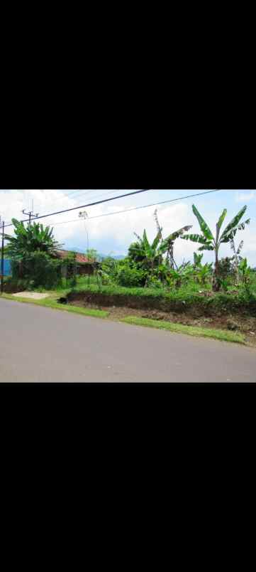 dijual tanah dijual tanah dipasir biru