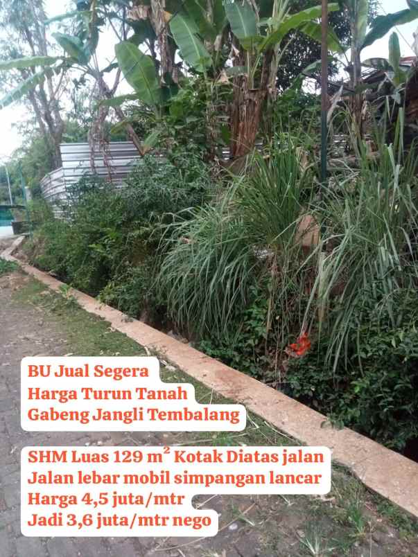 dijual tanah gabeng jangli tembalang