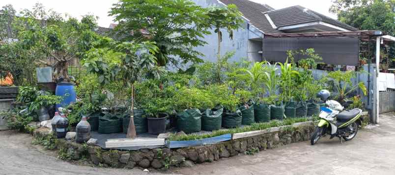 dijual tanah gg krakatau jl sembada