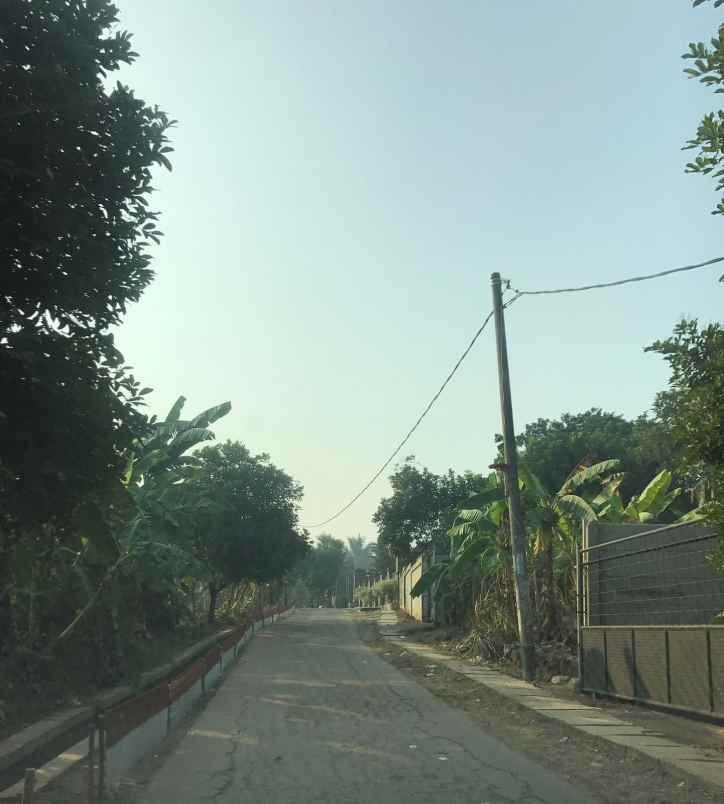 dijual tanah gg mesjid at taqwa