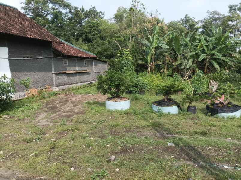 dijual tanah jalan kapten haryadi