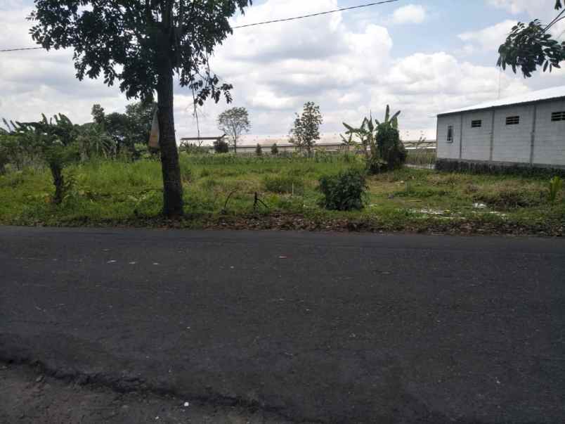 dijual tanah jalan plumbon sardonoharjo