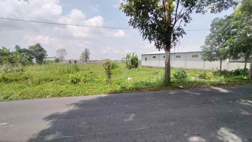 dijual tanah jalan plumbon sardonoharjo