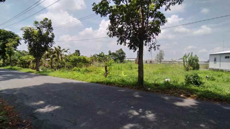 dijual tanah jalan plumbon sardonoharjo