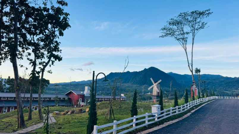 dijual tanah jalan raya puncak dua
