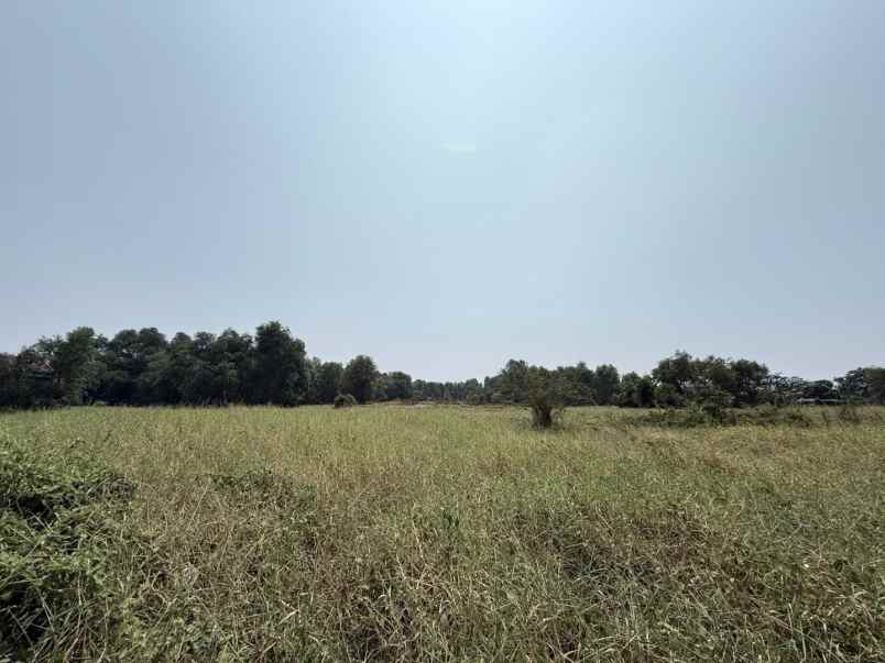dijual tanah jalan raya teluk jambe