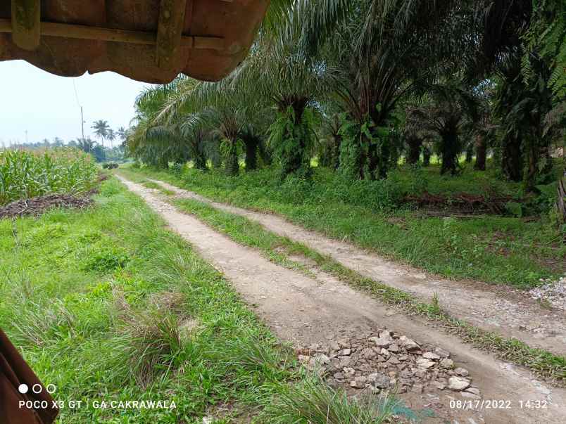 dijual tanah jati agung lampung selatan