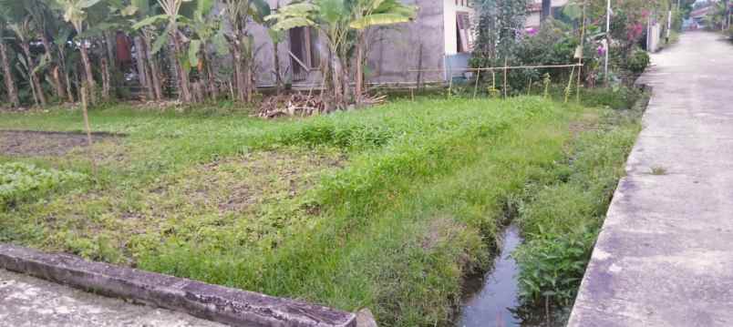 dijual tanah jl adi sucipto