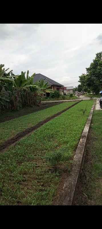 dijual tanah jl adi sucipto