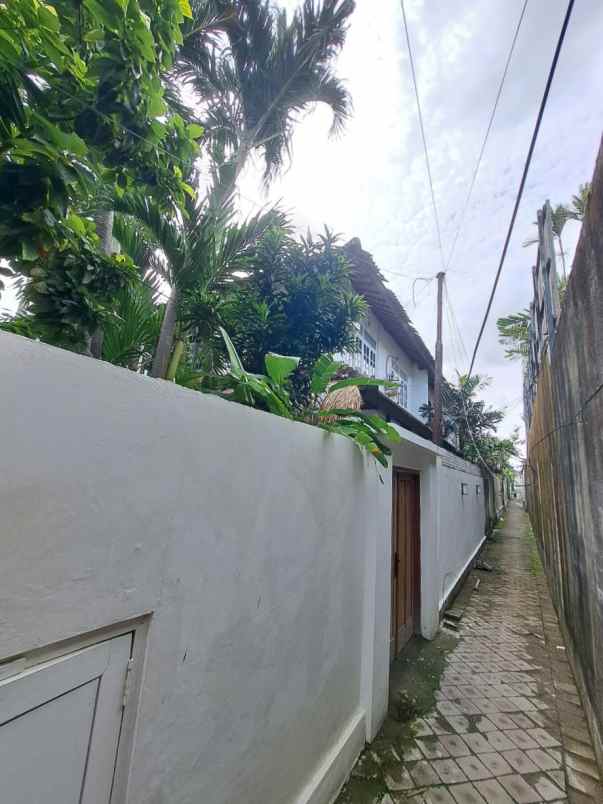 dijual tanah jl drupadi seminyak
