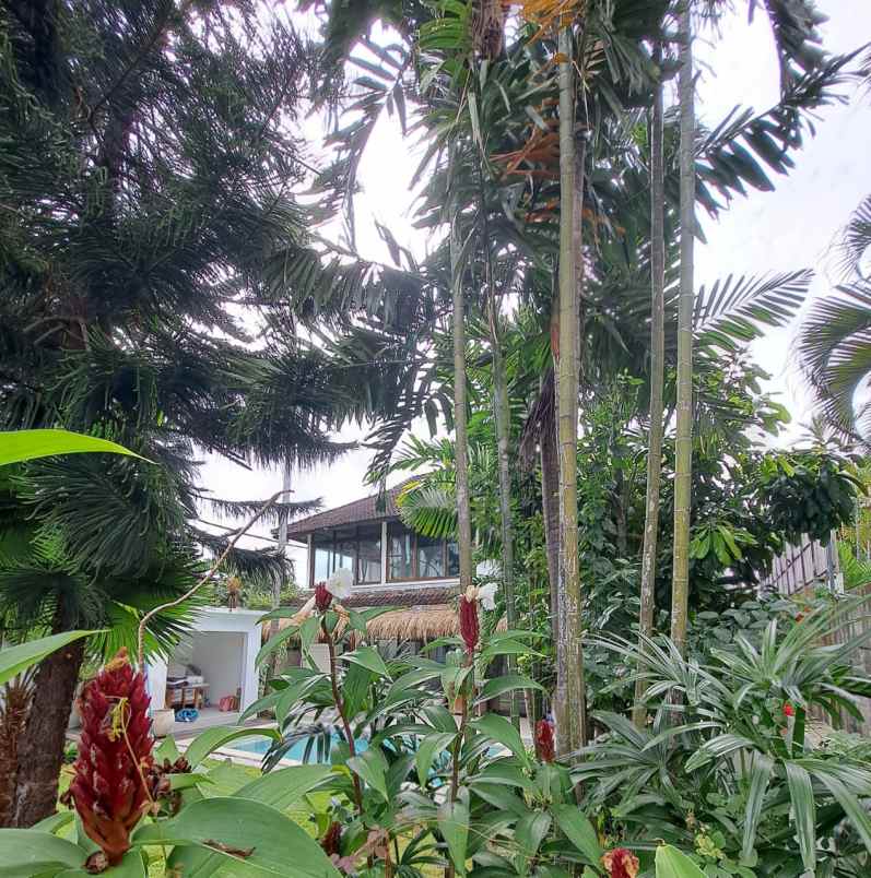 dijual tanah jl drupadi seminyak