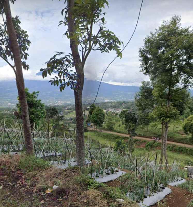 dijual tanah jl mahir farm cijeruk