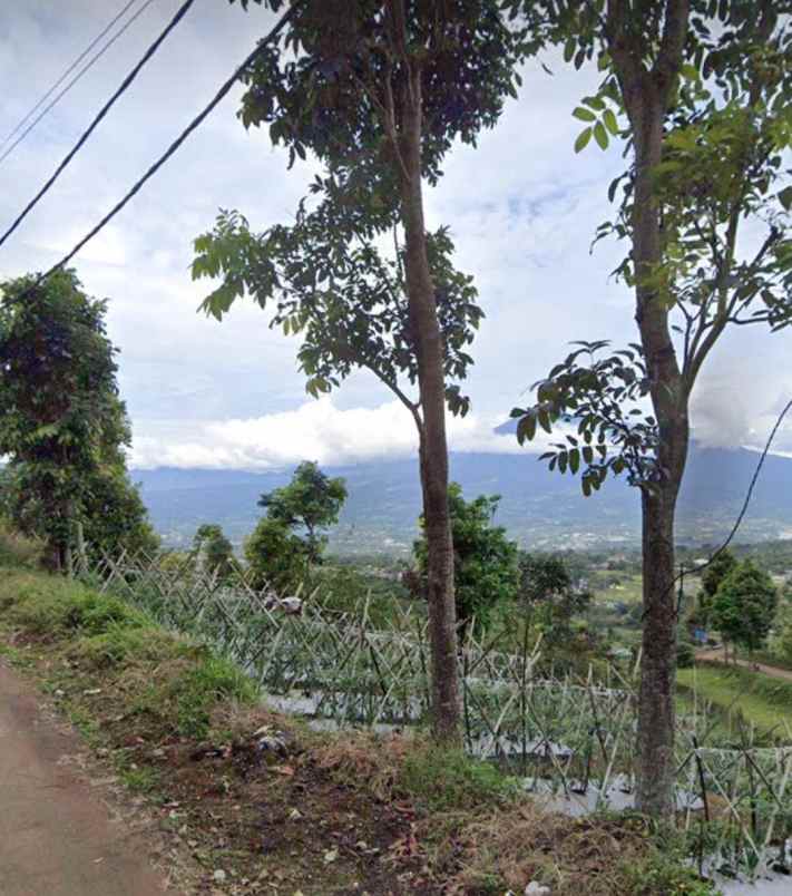 dijual tanah jl mahir farm cijeruk