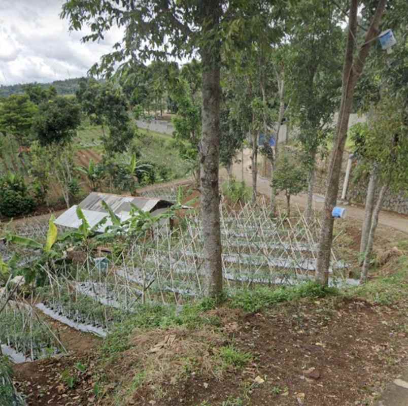 dijual tanah jl mahir farm cijeruk