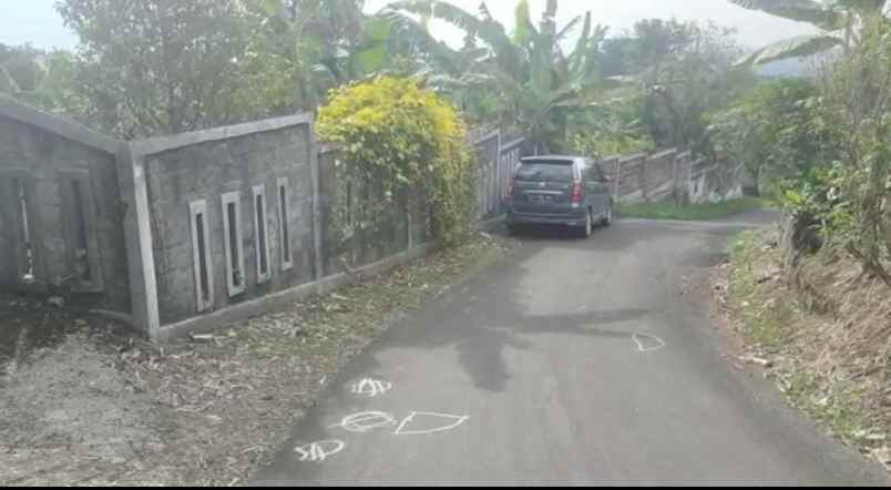 dijual tanah jl ry caringin