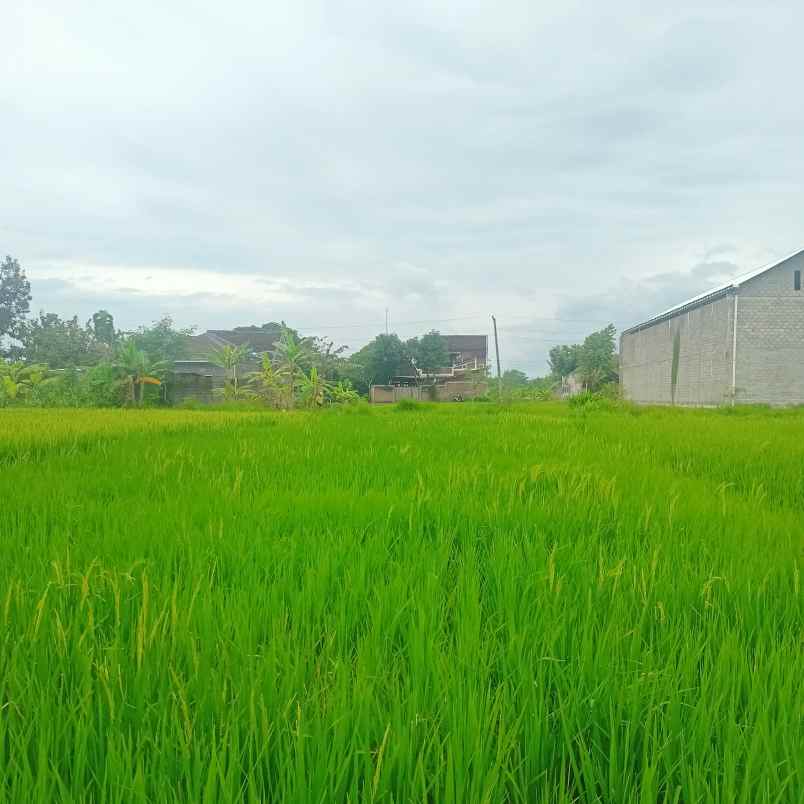 dijual tanah jln puri sewon asri