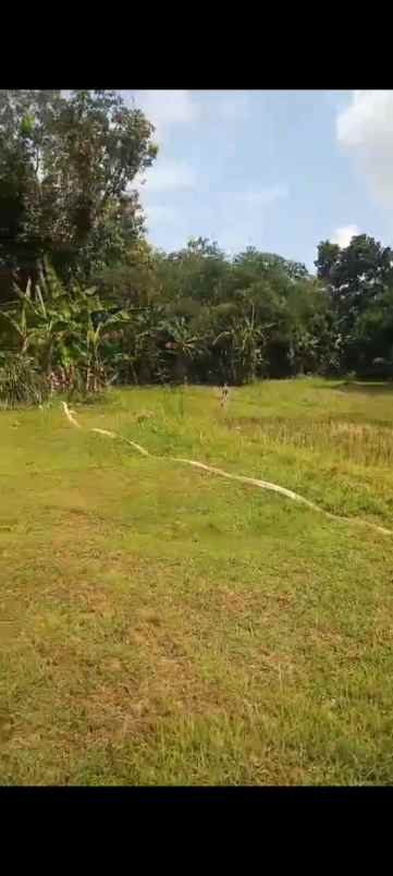 dijual tanah kaliori