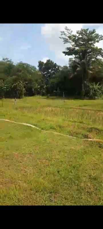 dijual tanah kaliori