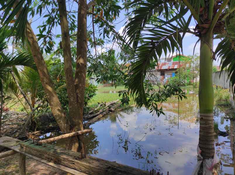 dijual tanah kavlingan palembang murah