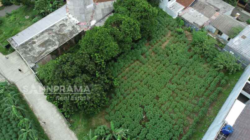 dijual tanah kayu manis tanah sereal