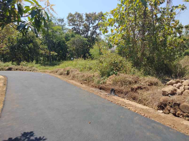 dijual tanah kebun pinggir jl akses mobil