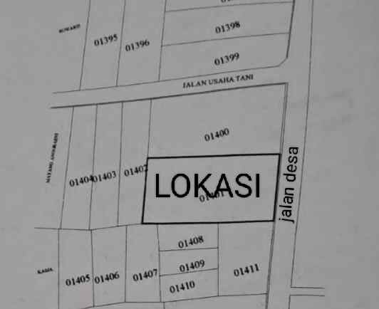 dijual tanah kebun pinggir jl desa