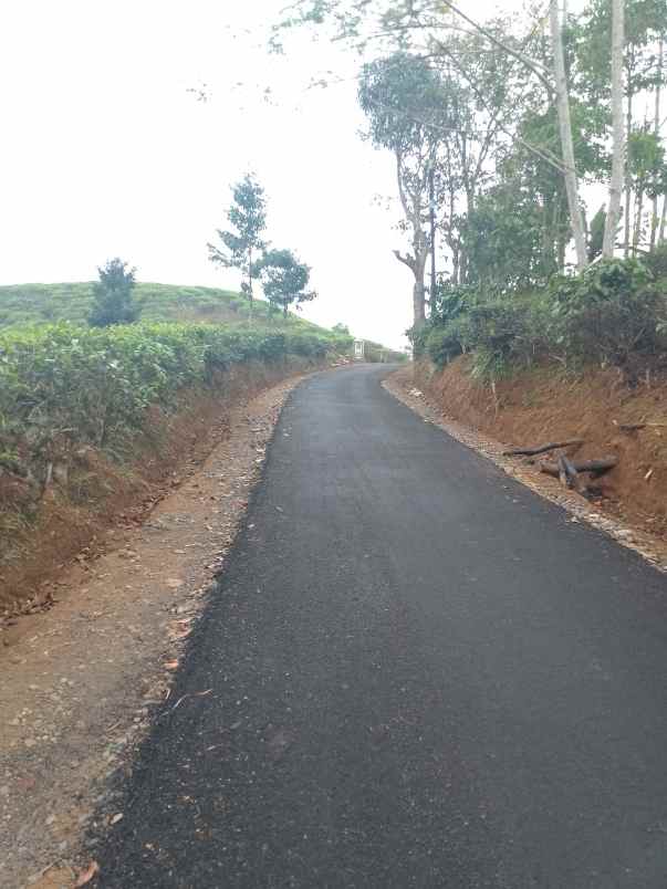 dijual tanah kebun produktif pinggir jalan