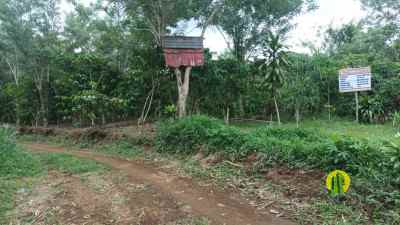 dijual tanah kepahiang bengkulu