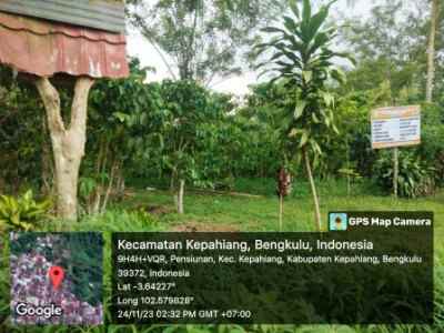 dijual tanah kepahiang bengkulu