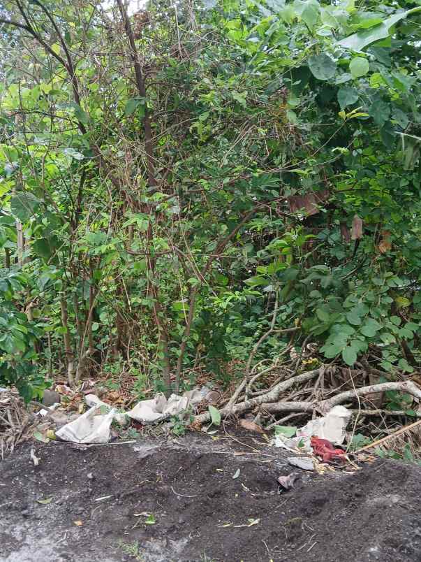 dijual tanah kerobokan kaja kuta utara