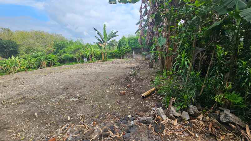 dijual tanah komersil lokasi canggu tibubeneng