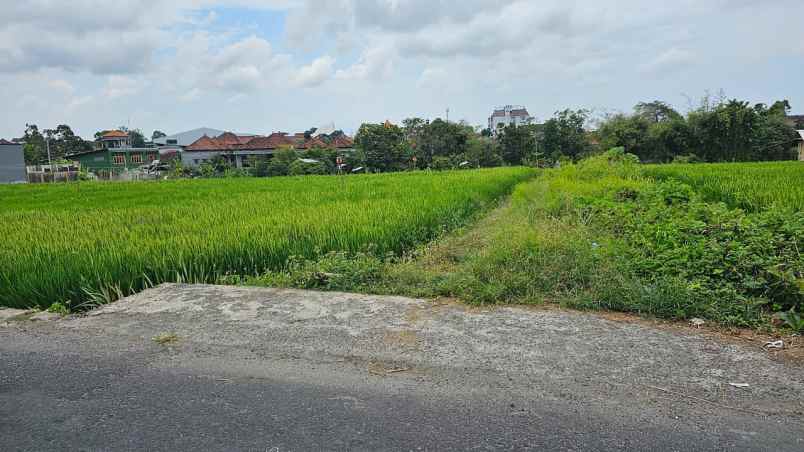 dijual tanah komersil lokasi kerobokan