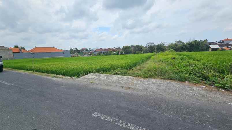 dijual tanah komersil lokasi kerobokan