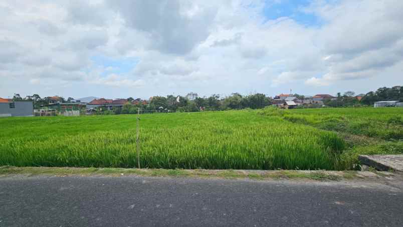 dijual tanah komersil lokasi kerobokan