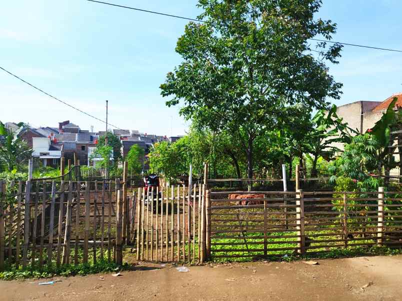 dijual tanah kp cibatu desa cilame