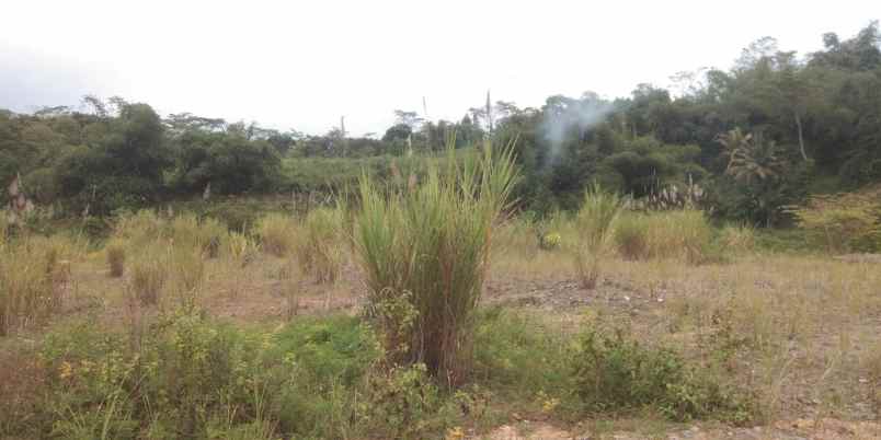 dijual tanah kp ciganda desa rende