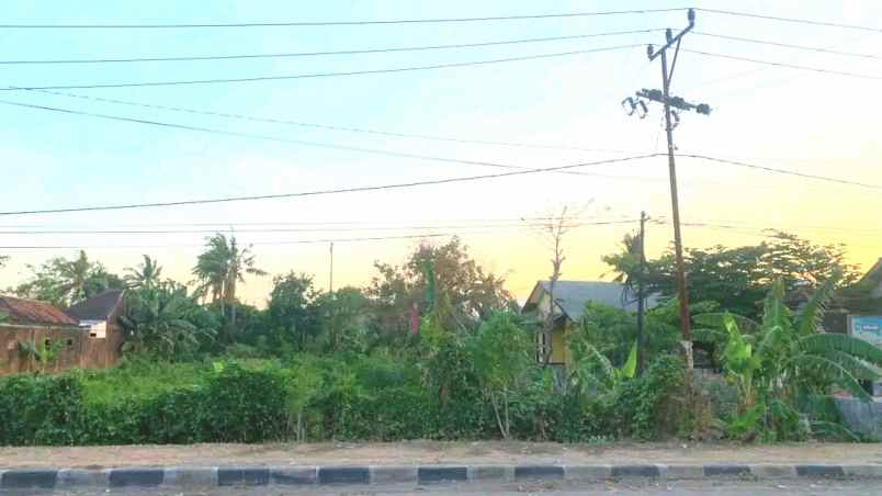 dijual tanah labuhan badas sumbawa