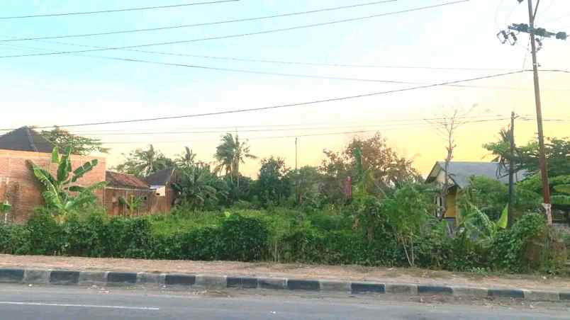 dijual tanah labuhan badas sumbawa