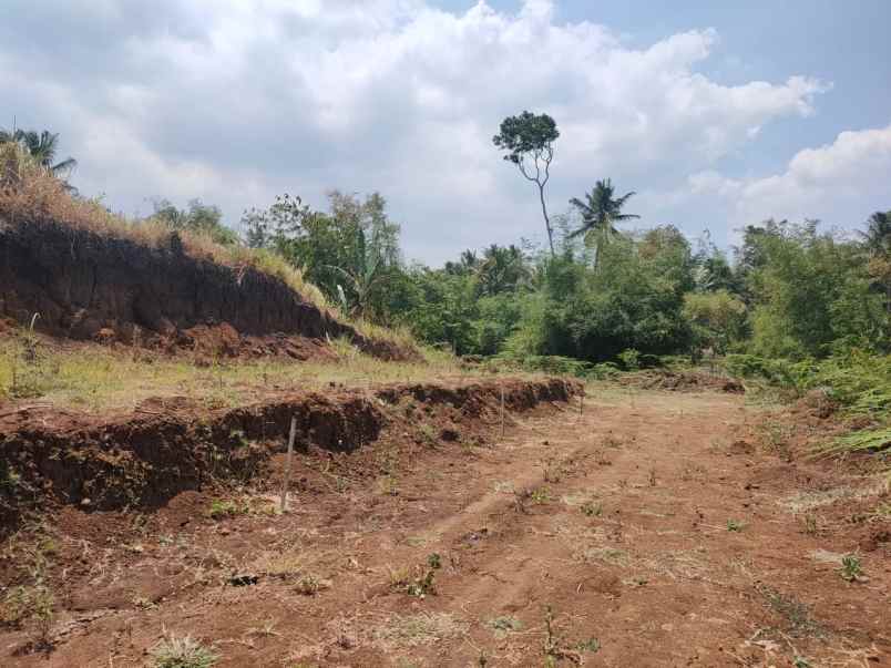 dijual tanah langlang singosari malang